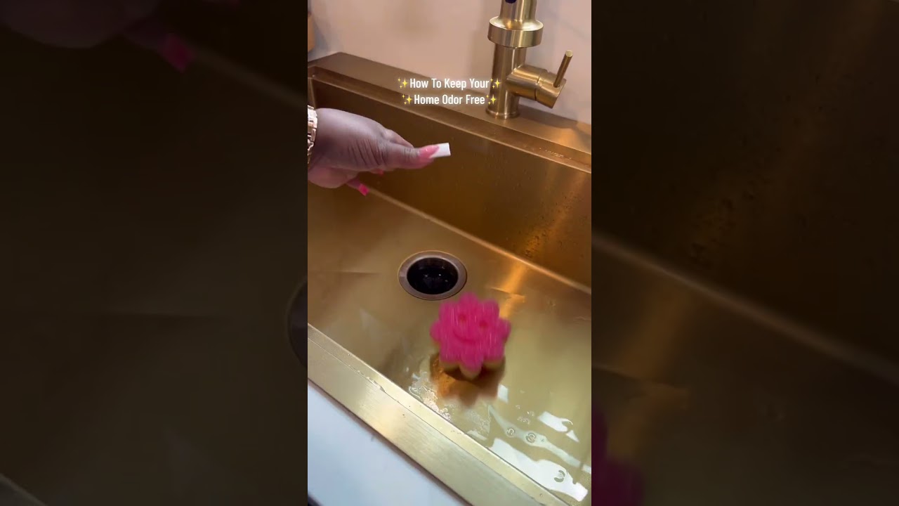 Say Goodbye to Kitchen Odors! 👃 Keep Your Space Fresh & Clean