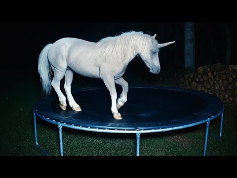 CCTV Catches Unicorn & Animals Jumping on Trampoline at 3AM 🦄