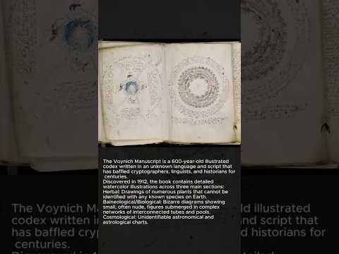 The Book NO ONE Can Read (600 Years UNDECIPHERED!) #shorts