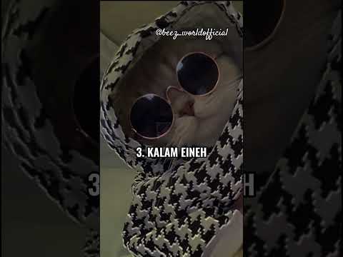 how many Arabic songs do u know ||arabic songs||#aesthetic #@beez world official 🦋