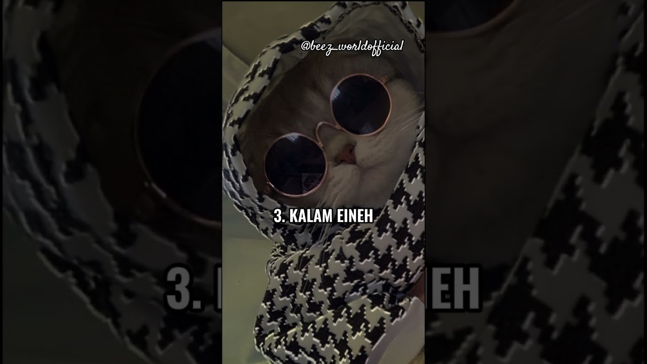 Discover the Best Arabic Songs ๐ถ | Beez World Official