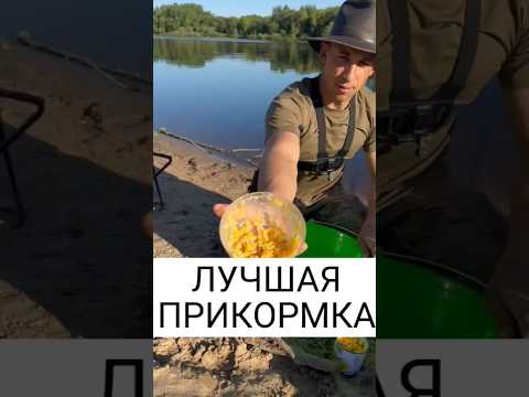 МОЙ РАБОЧИЙ РЕЦЕПТ ПРИКОРМКИ😳 #рек #fish #fishing #рыбалка #лещ #лещнафидер #реки #фидер