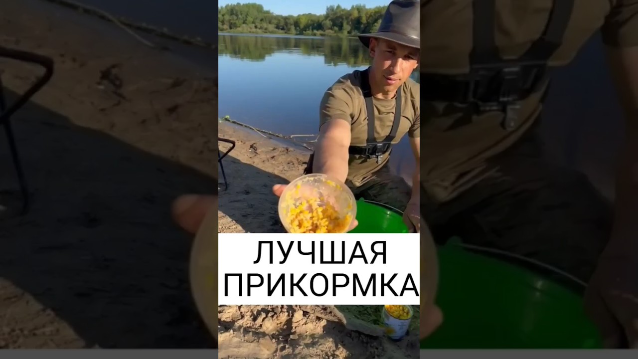 Мой Проверенный Рецепт Прикормки для Леща 🎣