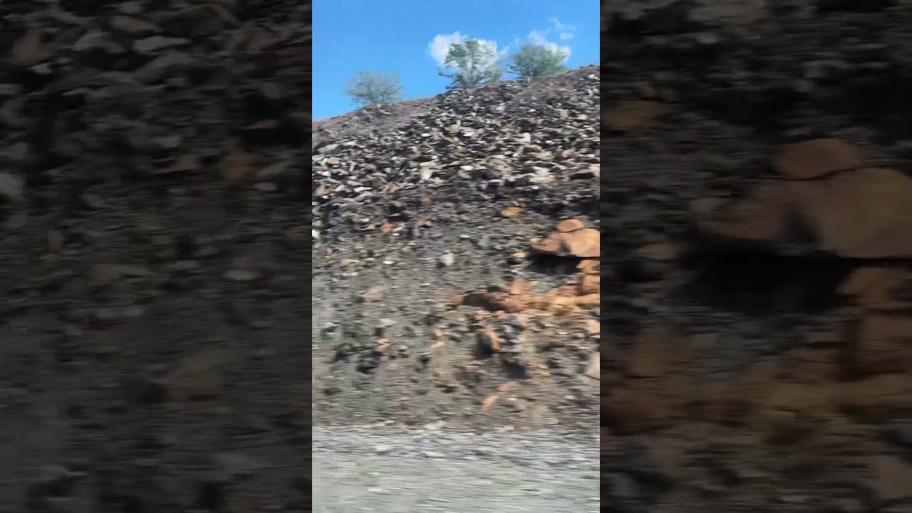 Дороги Забайкалья: Борзя — Чита 🚗