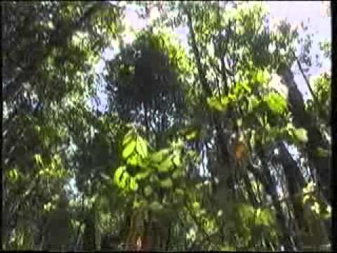 La Gomera y El Hierro en vuelo ✈️