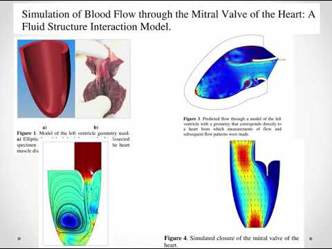 01 Intro to Bio-Computational Modeling