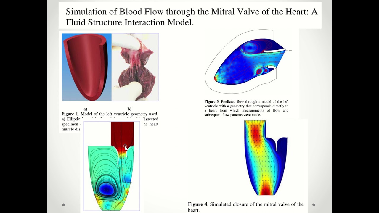 01 Introduction to Bio-Computational Modeling: Unlocking the Future of Biological Data Analysis 🧬