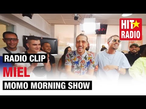 LARTISTE - MIEL [RADIO CLIP]