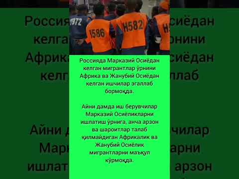 3 ноября 2025 г.