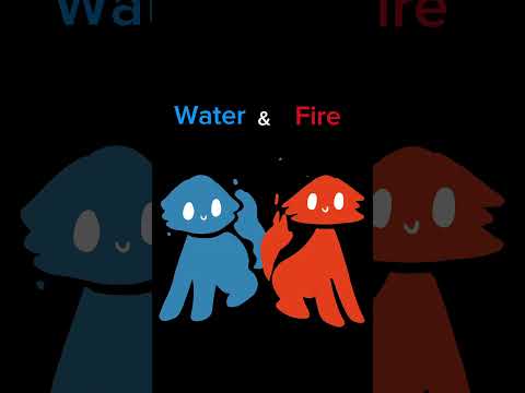 EVERY BEST FRIEND DUO HAS…