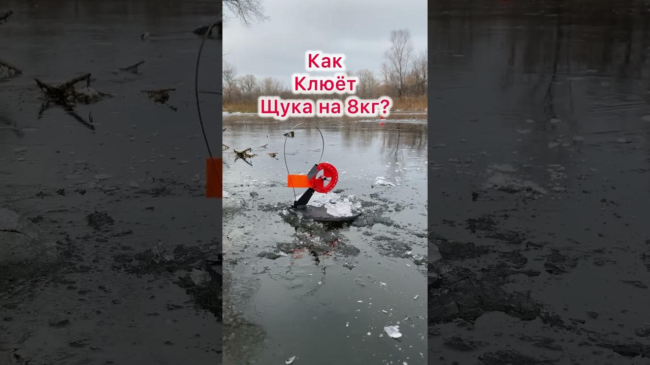 Огромная щука на 8 кг! 🐟 Лучшие жерлицы для рыбалки 2024-2025