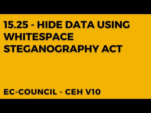 Uncover the Secrets of Whitespace Steganography like a Pro!