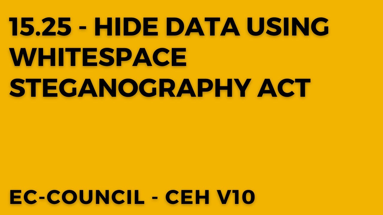 Master Whitespace Steganography: Hide Data Like a Pro! 🔍