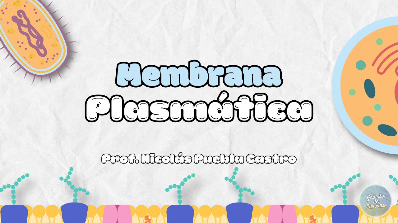 Membrana Plasmática: Guía Rápida y Fácil