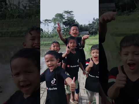 Adu mekanik pantun lucu#shorts