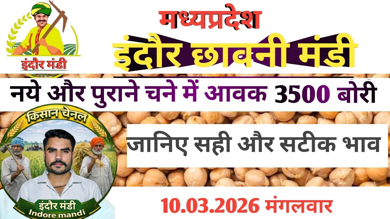 छावनी मंडी में आज के डॉलर चने का भाव #indoremandi  #चना #chana #मंडी #indoremandibhav #yt #news 