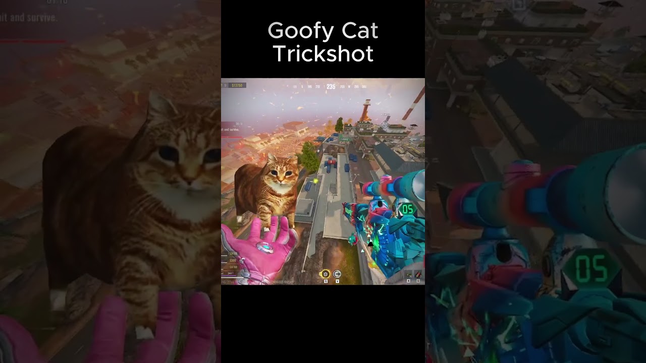 Goofy Cat Highlights & Blood Strike Tips 🐱