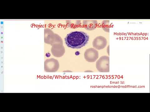 Blood Cell Classification Using CNN Python Source Code | Blood Cell Detection Using Neural Network