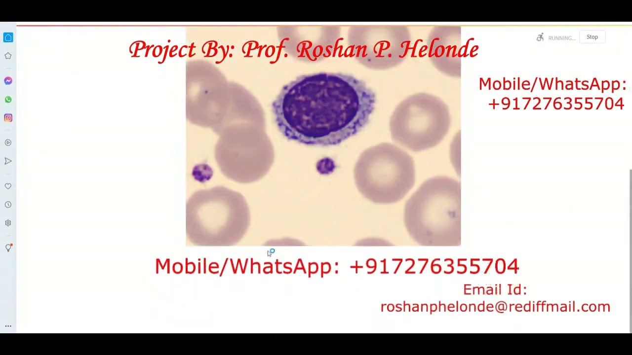 Blood Cell Classification with CNN in Python 🩸 | Neural Network Blood Cell Detection