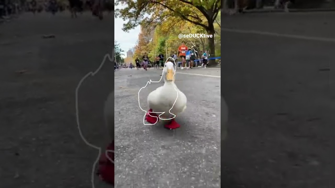 Trending Running Duck TikTok Outline 🦆