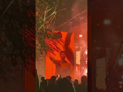 Chak de India by salim #liveconcert #shorts #livemusicconcert  #chiragbhalodia #chirag_bhalodia