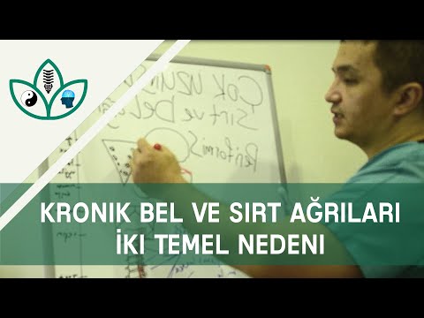 Kronik Bel ve Sırt Ağrıları İki Temel Nedeni