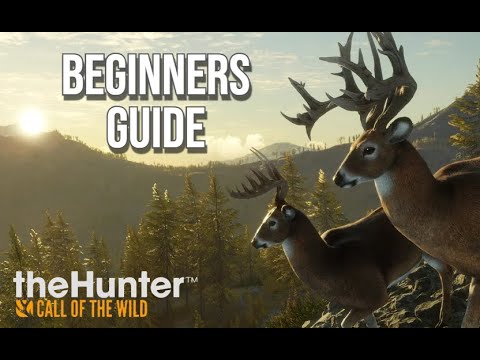 Beginner's Guide to Hunter: Call of the Wild 2025 🎯