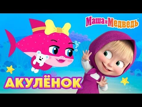 Маша и Медведь💥 НОВАЯ ПЕСЕНКА! 💥 АКУЛЁНОК 🦈 🫧🩵 Коллекция мультиков про Машу