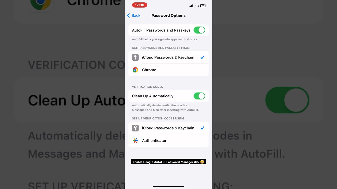 How to Enable Google Password Manager Autofill on iOS