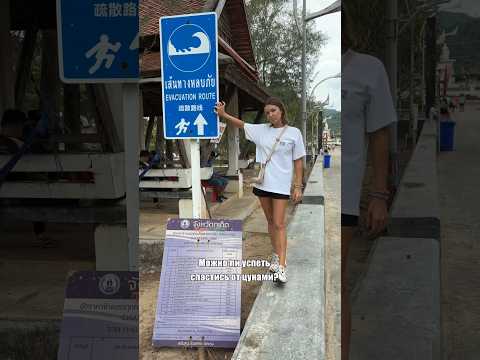 Можно ли спастись от цунами?🌊 #путешествия #таиланд