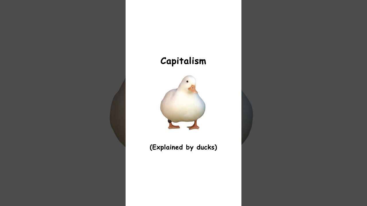 Capitalism Explained by Ducks 🦆
