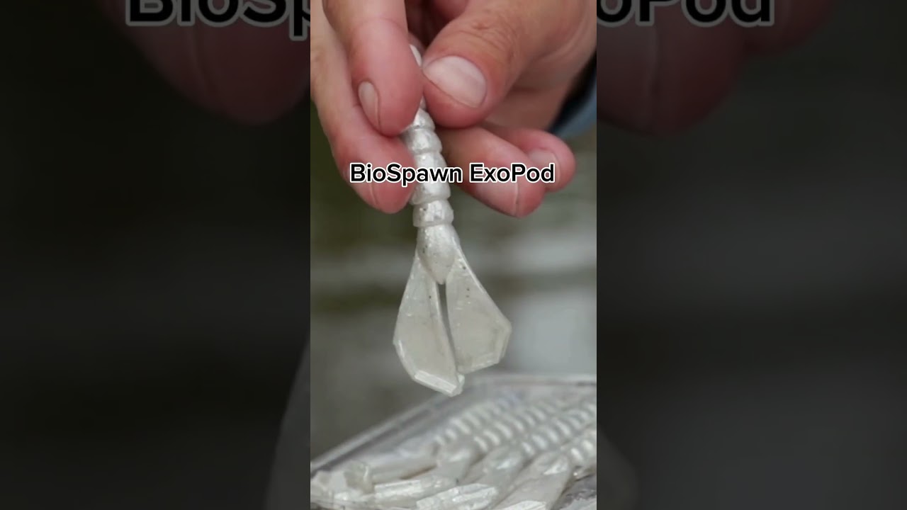 3 Top 3 Chatterbait Trailers to Try This Season 🎣