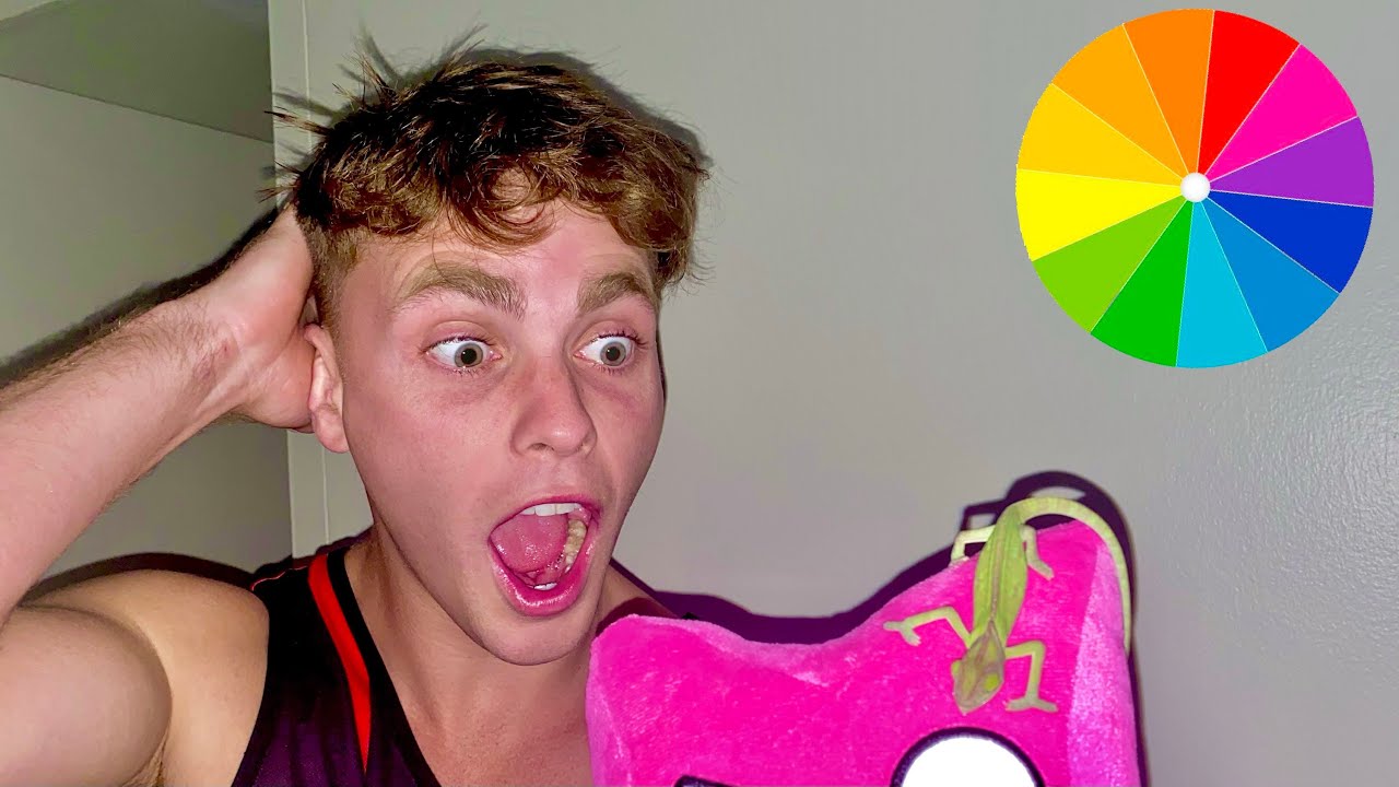 How Many Colors Can My Chameleon Change? 🦎