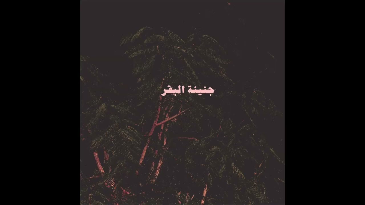 Hayati - حياتي by Abyusif 🎶