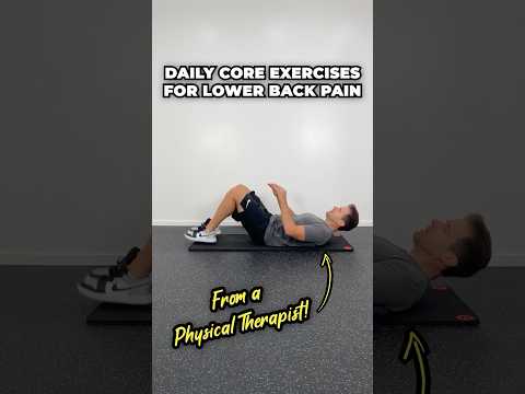 Daily Core Exercises For Lower Back Pain! [Treatment and Prevention]