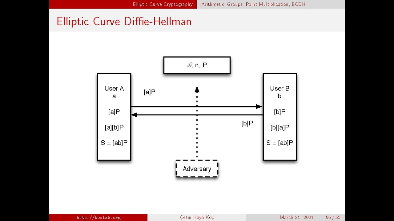 Mastering Elliptic Curve Cryptography: Key Concepts & Protocols 🔐