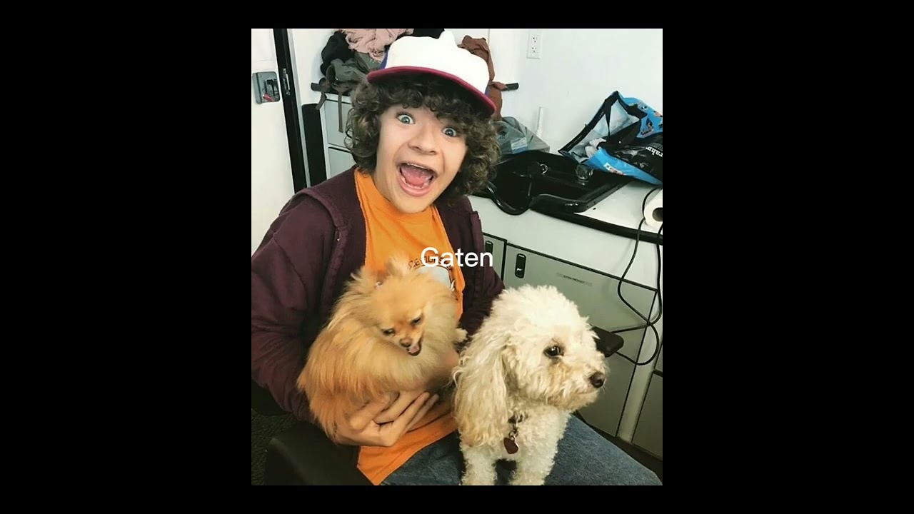 Stranger Things Cast with Joe Keery's Adorable Dog 🐶