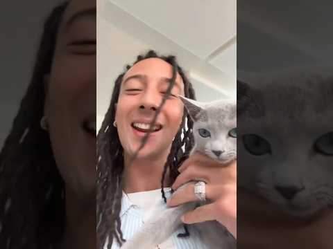 Voleva un cane.. #Ghali #shorts