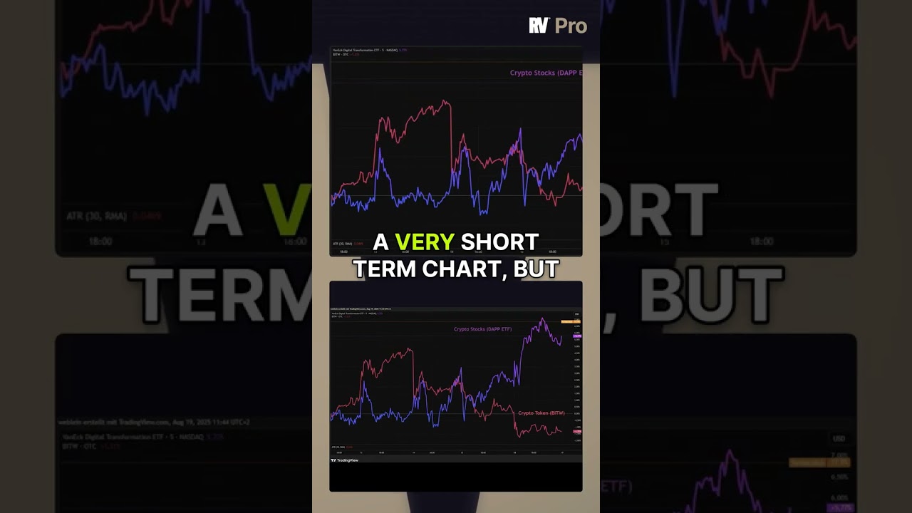 Crypto Market Shakeup: Expert Warns Not to Panic Amid Altcoin Surge 🚀