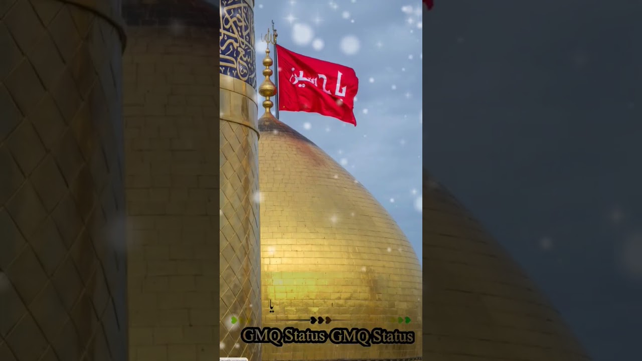 Islamic & Black Status with Butterfly & Sonic Themes 🦋