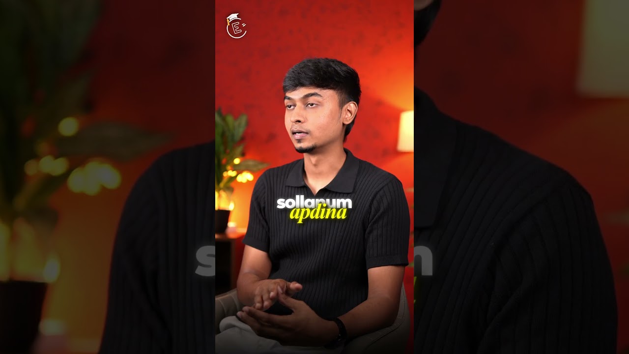 React JS vs Vite JS for Beginners | 2025 Guide