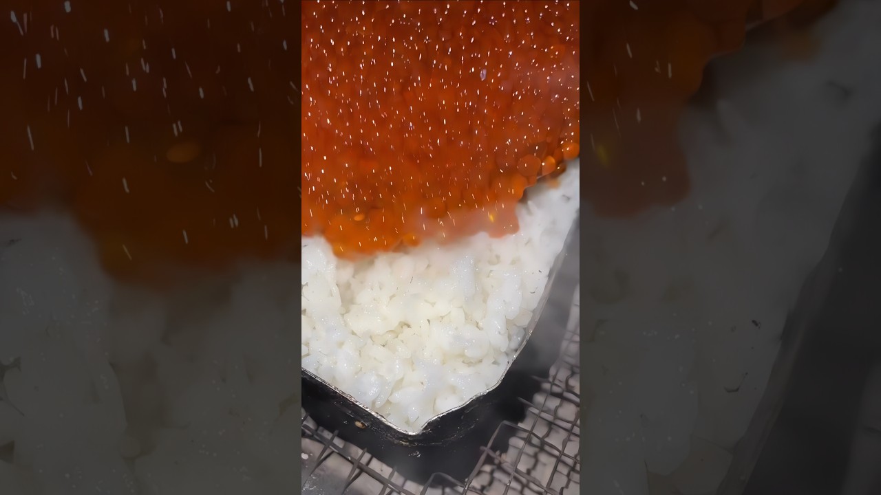 Roe vs. Caviar: What's the Difference? 🥂