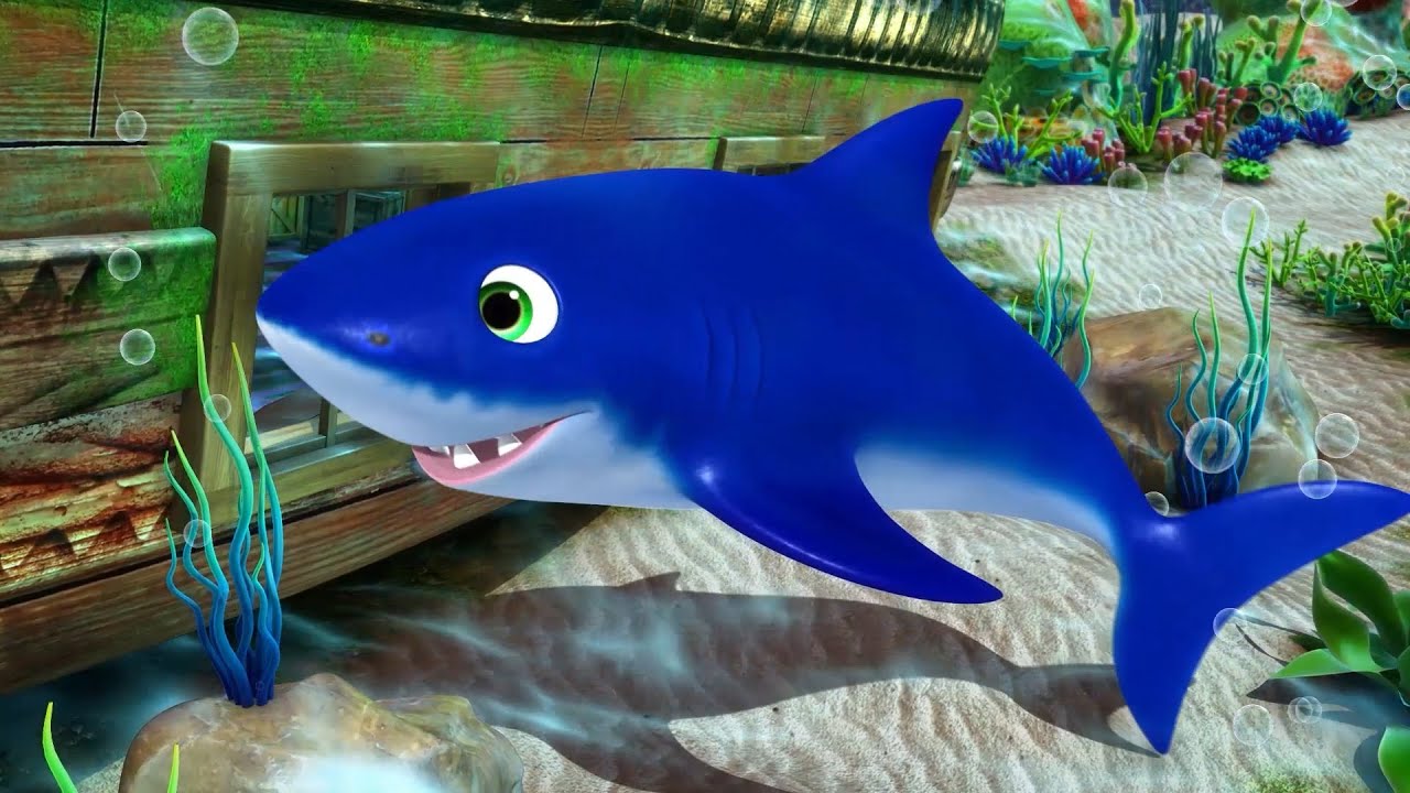 Baby Hai Lied | Kinderlieder für Kleinkinder | Little Baby Bum Deutsch 🎶