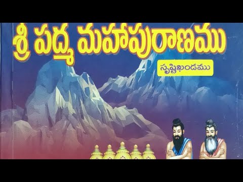 శ్రీ పద్మ మహాపురాణం సృష్టి ఖండము -10వ భాగం అవతార చరిత @MegaVasista 