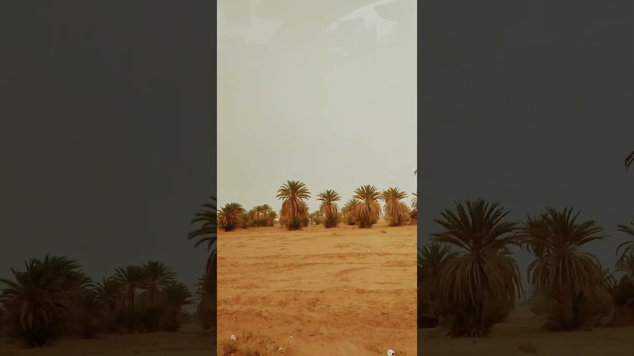 Arrivée à M'hamid, Maroc 🏜️