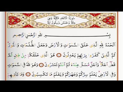 Surah Al An'am with Saad Al Ghamdi & Tajweed 📖