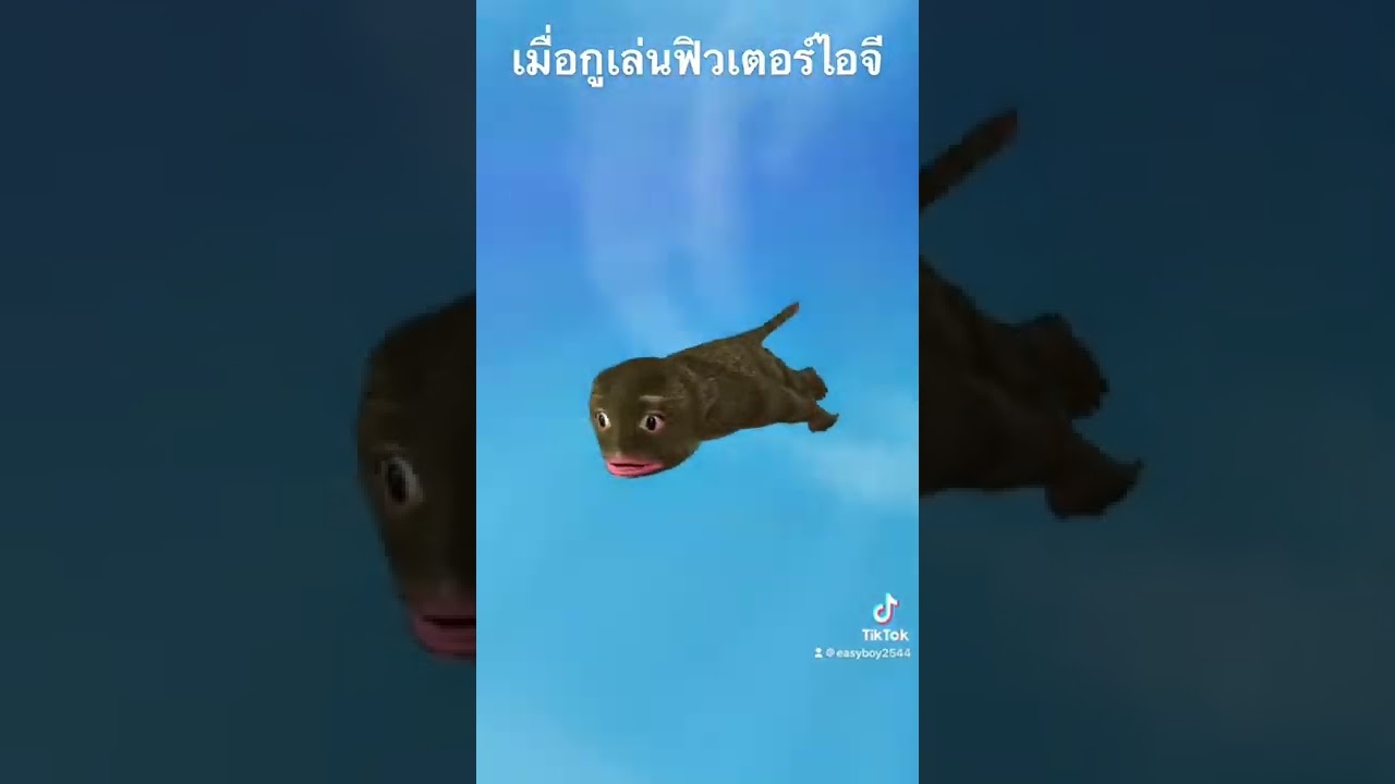 เล่นฟิวเตอร์ IG สุดสนุก #short