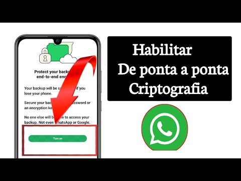 Como "ativar" a criptografia de ponta a ponta no Whatsapp(2024)