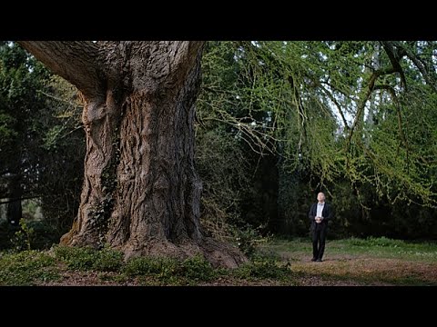 Silent Friend: Ildikó Enyedi’s Film on People & Plants 🌱