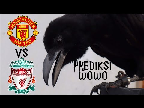 🔴LIVE Manchester United VS Liverpool || Premier League || Prediksi Wowo Si Burung Gagak Hitam